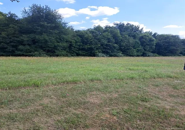 Photo 3 of Land for sale at 6120 Sunnys Way, Imlay City, MI 48444 | MLS# 61015232 | Listing updated on 2026-08-05