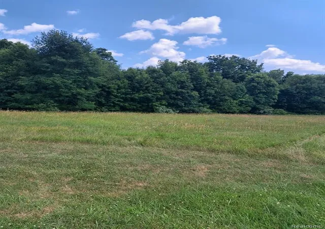Photo 3 of Land for sale at 6120 Sunnys Way, Imlay City, MI 48444 | MLS# 61015232 | Listing updated on 2026-08-05