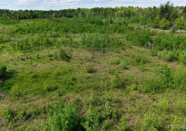 Homes for sale in Newberry, MI | 13400 M-28 Hwy, Newberry, MI 49868 | MLS# 50213205