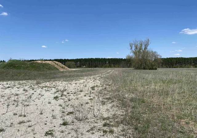 Homes for sale in Gaylord, MI | Tbd Milbocker Rd, Gaylord, MI 49735 | MLS# 80058247