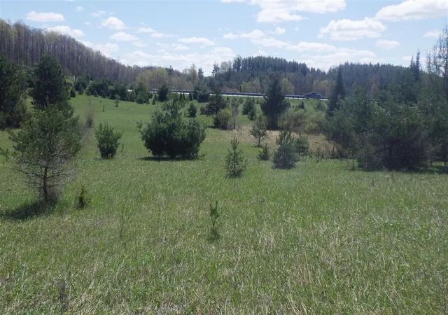 Photo 1 of Land for sale at S 39 Road, Cadillac, MI 49601 | MLS# 70532639 | Listing updated on 2026-08-21