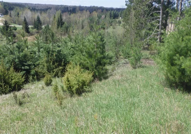 Photo 3 of Land for sale at S 39 Road, Cadillac, MI 49601 | MLS# 70532639 | Listing updated on 2026-08-21