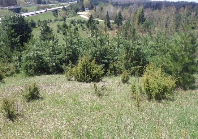 Photo 3 of Land for sale at S 39 Road, Cadillac, MI 49601 | MLS# 70532639 | Listing updated on 2026-08-21