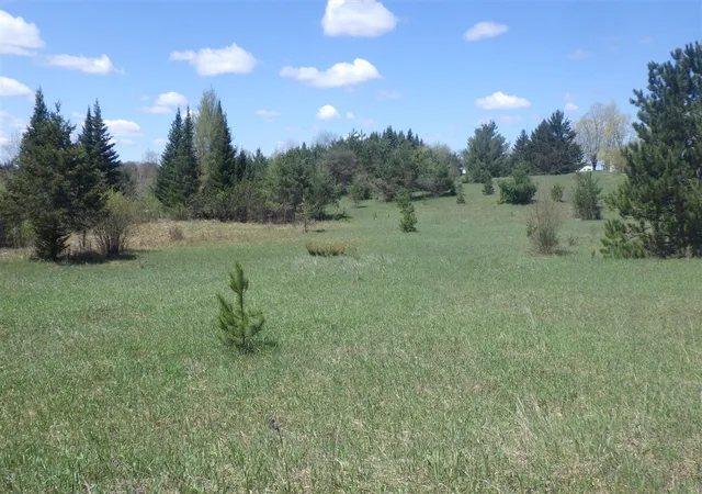 Photo 4 of Land for sale at S 39 Road, Cadillac, MI 49601 | MLS# 70532639 | Listing updated on 2026-08-21