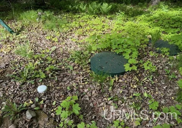 22nd image of 6629 Spruce Dr, Florence T Wi, WI 54121 | MLS# 50212474