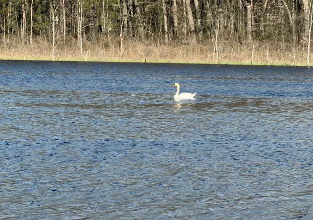 Photo 3 of Land for sale at 0 E Laketon, Muskegon, MI 49442 | MLS# 70446799 | Listing updated on 2026-08-19
