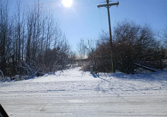 Homes for sale in Silverwood, MI | 3838 Mayville Rd, Silverwood, MI 48760 | MLS# 60965261
