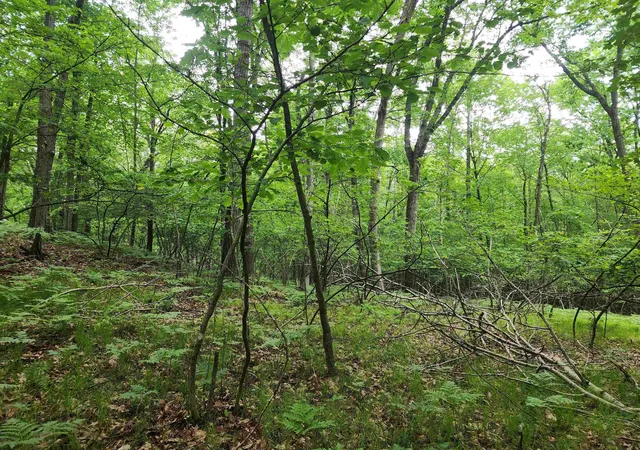 Homes for sale in Farwell, MI | Lot 826 Hemlock Ln, Farwell, MI 48622 | MLS# 50211816