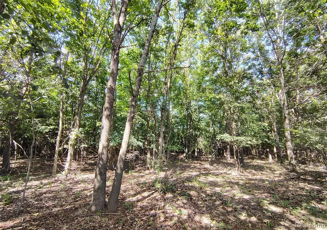 Photo 3 of Land for sale at Parcel D Brigham Rd, Goodrich, MI 48438 | MLS# 61020671 | Listing updated on 2026-09-08