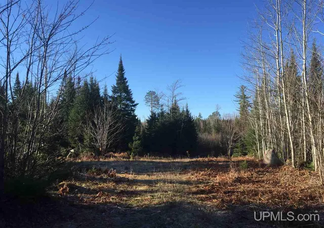 Photo 1 of Land for sale at Tbd Off Co Rd 478, Ishpeming, MI 49849 | MLS# 50218066 | Listing updated on 2026-08-11
