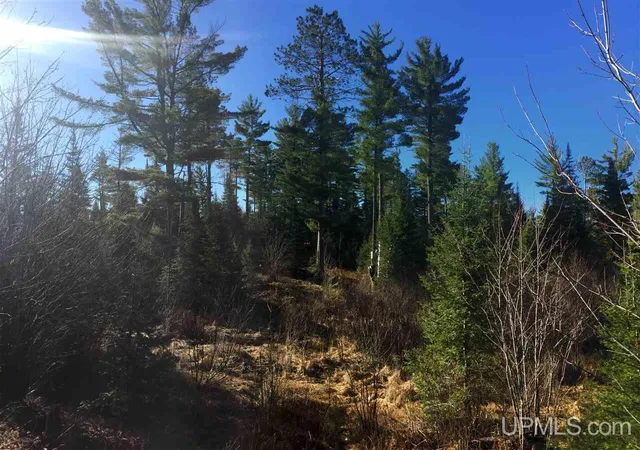 Photo 18 of Land for sale at Tbd Off Co Rd 478, Ishpeming, MI 49849 | MLS# 50218066 | Listing updated on 2026-08-11