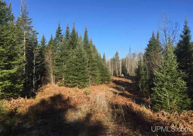 Photo 2 of Land for sale at Tbd Off Co Rd 478, Ishpeming, MI 49849 | MLS# 50218066 | Listing updated on 2026-08-11