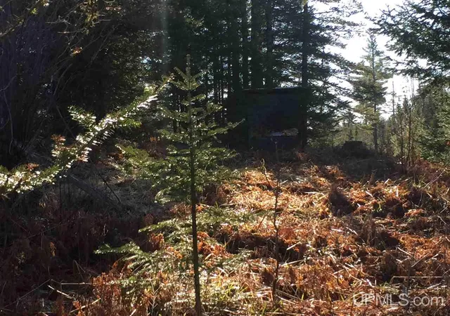Photo 3 of Land for sale at Tbd Off Co Rd 478, Ishpeming, MI 49849 | MLS# 50218066 | Listing updated on 2026-08-11