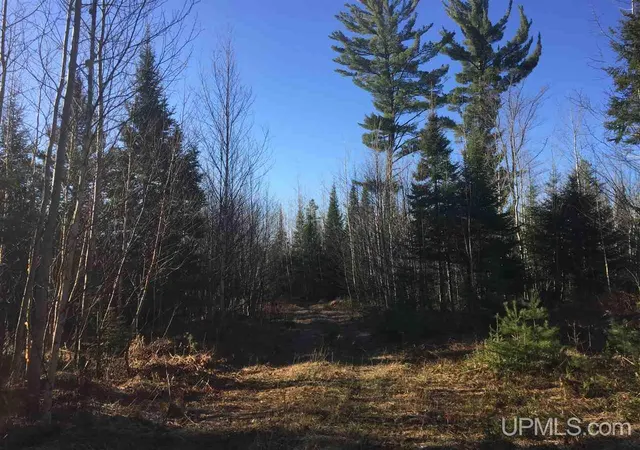 Photo 4 of Land for sale at Tbd Off Co Rd 478, Ishpeming, MI 49849 | MLS# 50218066 | Listing updated on 2026-08-11