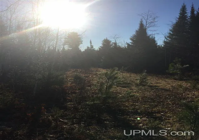 Photo 5 of Land for sale at Tbd Off Co Rd 478, Ishpeming, MI 49849 | MLS# 50218066 | Listing updated on 2026-08-11