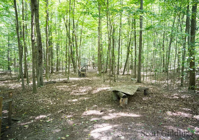 39th image of 3750 N Hillman Rd, Lakeview, MI 48850 | MLS# 70553753