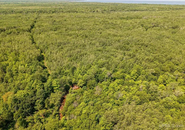 1st image of 32954 Kingbird Ln, Carp Lake, MI 49718 | MLS# 50214430