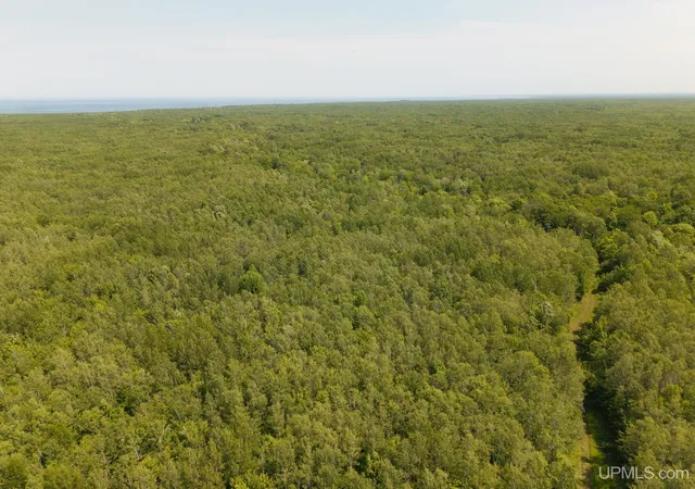2nd image of 32954 Kingbird Ln, Carp Lake, MI 49718 | MLS# 50214430