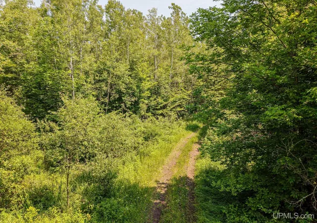 Photo 3 of Land for sale at 32954 Kingbird Ln, Carp Lake, MI 49718 | MLS# 50214430 | Listing updated on 2026-07-10