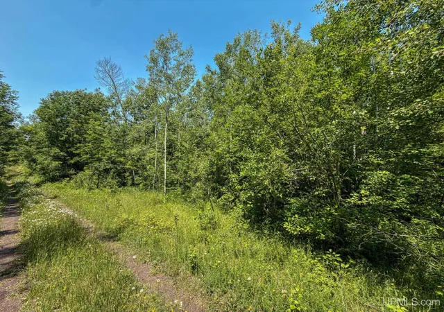 Photo 3 of Land for sale at 32954 Kingbird Ln, Carp Lake, MI 49718 | MLS# 50214430 | Listing updated on 2026-10-08