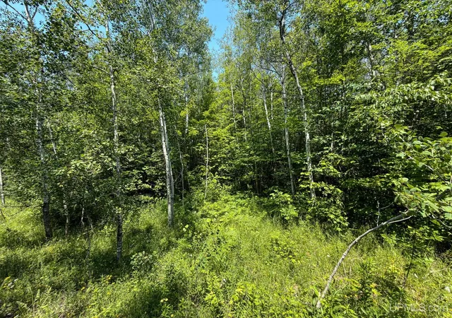 Photo 4 of Land for sale at 32954 Kingbird Ln, Carp Lake, MI 49718 | MLS# 50214430 | Listing updated on 2026-10-08