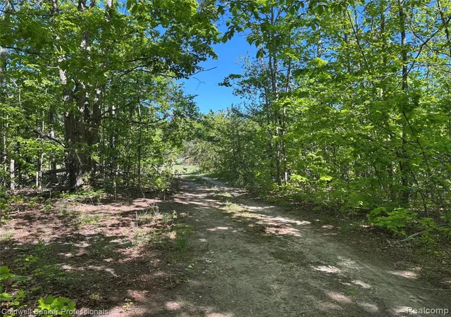 Homes for sale in Boyne Falls, MI | 11560 Ashman Hill Rd, Boyne Falls, MI 49713 | MLS# 60997692