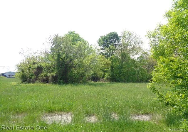 1st image of 1051 Concord St, Detroit, MI 48207 | MLS# 60220411
