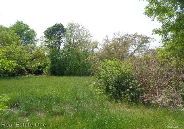 2nd image of 1051 Concord St, Detroit, MI 48207 | MLS# 60220411
