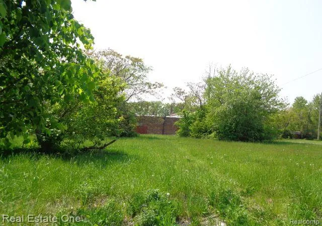 3rd image of 1051 Concord St, Detroit, MI 48207 | MLS# 60220411
