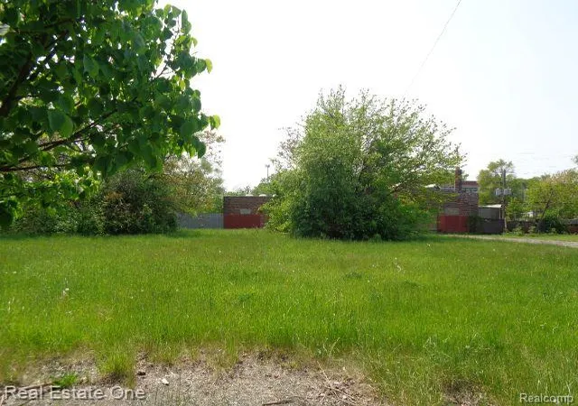 4th image of 1051 Concord St, Detroit, MI 48207 | MLS# 60220411