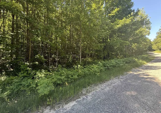 Photo 3 of Land for sale at Lots 285 & 286 Acacia Dr, Mancelona, MI 49659 | MLS# 80071138 | Listing updated on 2026-07-19