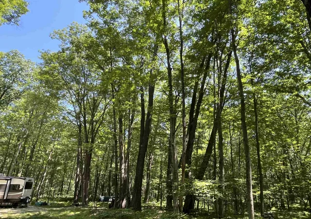 15th image of 1031 Spuce Hill Dr, Farwell, MI 48622 | MLS# 50214647