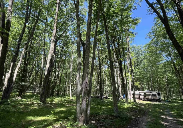 3rd image of 1031 Spuce Hill Dr, Farwell, MI 48622 | MLS# 50214647