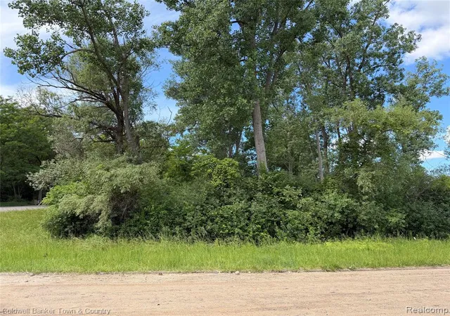 Photo 2 of Land for sale at 0 Ben Hur Dr, Brighton, MI 48114 | MLS# 60960037 | Listing updated on 2026-07-06