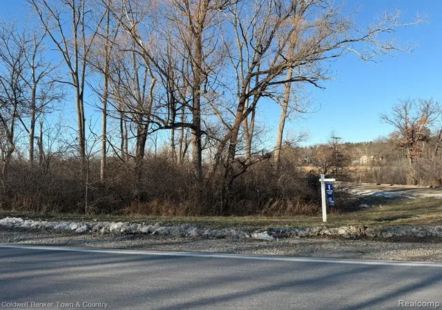 Photo 4 of Land for sale at 0 Ben Hur Dr, Brighton, MI 48114 | MLS# 60960037 | Listing updated on 2026-07-06