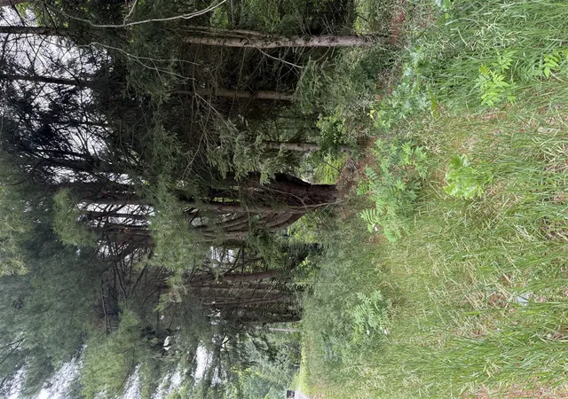 Photo 1 of Land for sale at 23250 W Wood Lake Rd, Pierson, MI 49339 | MLS# 70542061 | Listing updated on 2026-07-20