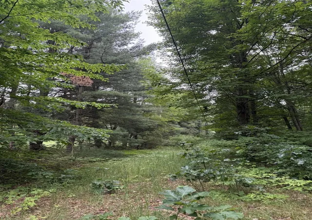 Photo 2 of Land for sale at 23250 W Wood Lake Rd, Pierson, MI 49339 | MLS# 70542061 | Listing updated on 2026-07-20