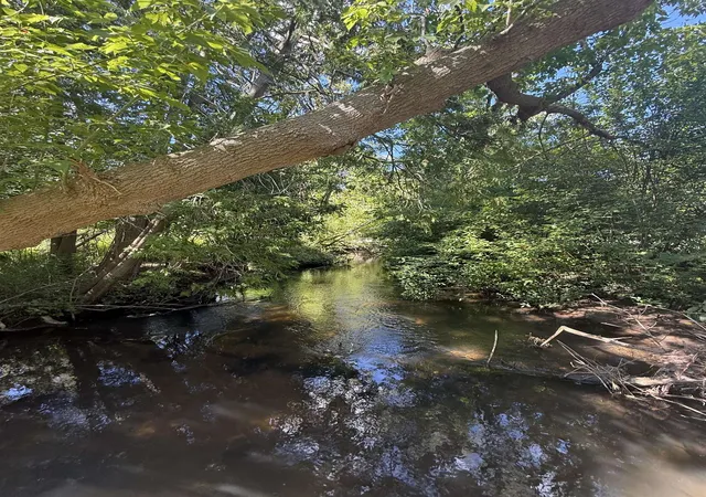 Photo 1 of Land for sale at 206 210 S Cedar St, Traverse City, MI 49684 | MLS# 80072127 | Listing updated on 2026-08-12