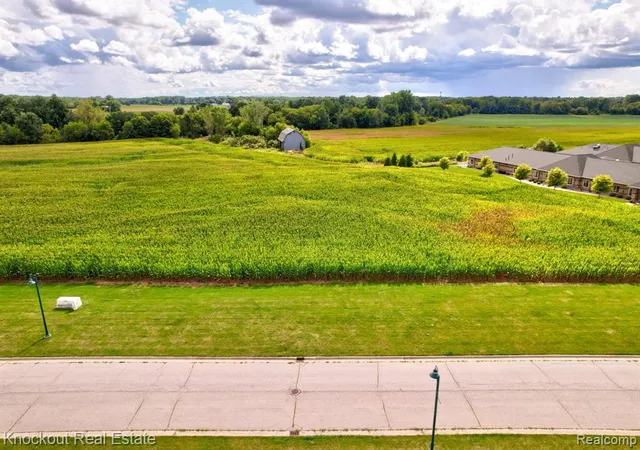 Photo 3 of Land for sale at Parcel D W Rolling Hills Dr, Bridgeport, MI 48722 | MLS# 60932126 | Listing updated on 2026-08-10