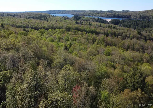 Homes for sale in Negaunee, MI | Off Hoist Rd, Negaunee, MI 49866 | MLS# 50209665