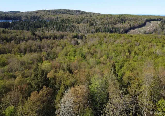 Photo 3 of Land for sale at Off Hoist Rd, Negaunee, MI 49866 | MLS# 50209665 | Listing updated on 2026-06-01