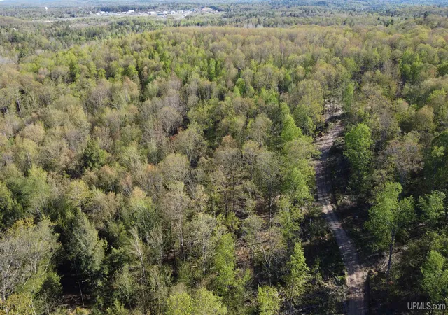 Photo 3 of Land for sale at Off Hoist Rd, Negaunee, MI 49866 | MLS# 50209665 | Listing updated on 2026-06-01