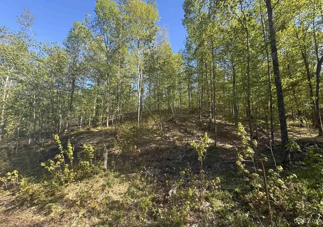Homes for sale in Negaunee, MI | Off Hoist Rd, Negaunee, MI 49866 | MLS# 50209665
