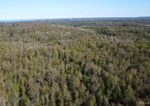 Photo 4 of Land for sale at Off Hoist Rd, Negaunee, MI 49866 | MLS# 50209665 | Listing updated on 2026-06-01