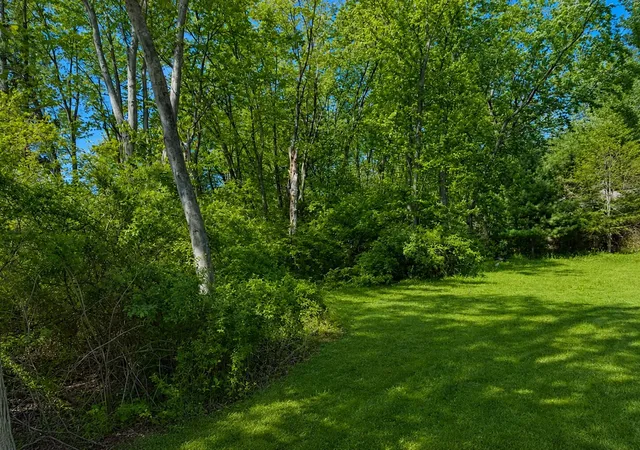 Homes for sale in South Haven, MI | V/l Blue Star Hwy, South Haven, MI 49090 | MLS# 70535202