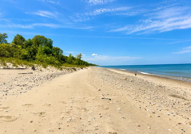 Homes for sale in South Haven, MI | V/l Blue Star Hwy, South Haven, MI 49090 | MLS# 70535202