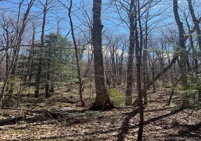 Homes for sale in Rockland, MI | Tbd Victoria Dam Rd, Rockland, MI 49960 | MLS# 50207399