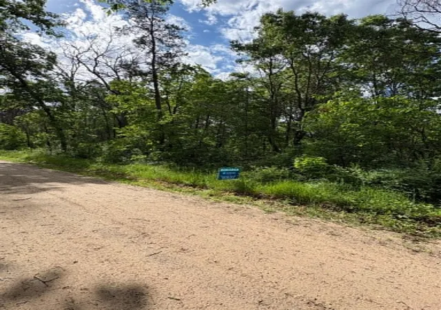 Photo 1 of Land for sale at Vl E Lynndon St, Idlewild, MI 49642 | MLS# 70518643 | Listing updated on 2026-09-15