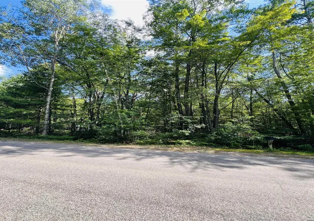 Homes for sale in Houghton Lake, MI | Lot 789 Redwine, Houghton Lake, MI 48653 | MLS# 80070376