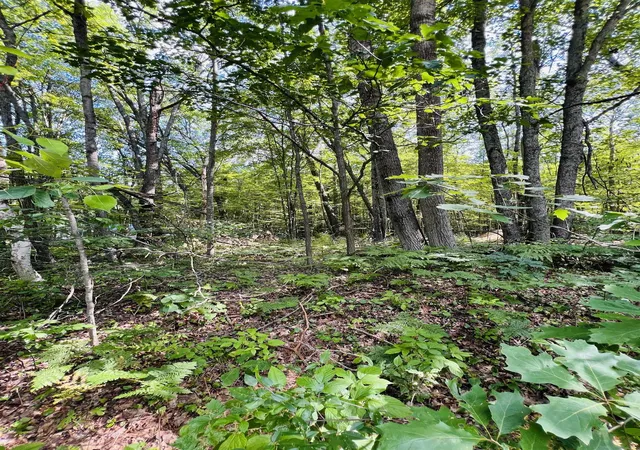 Homes for sale in Houghton Lake, MI | Lot 789 Redwine, Houghton Lake, MI 48653 | MLS# 80070376